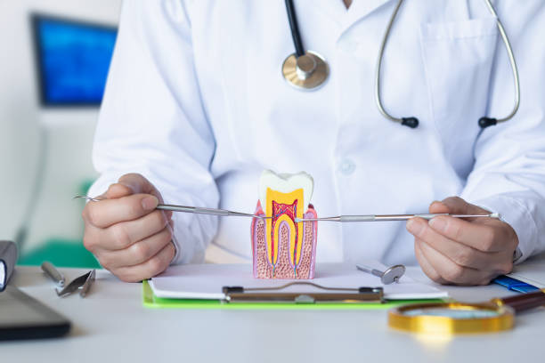 Best Emergency Care for Gum Disease in Four Cners, OR